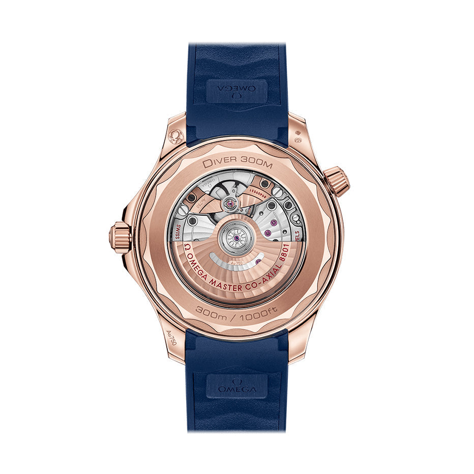 omega-seamaster-diver-300m-21062422003001-2-product.jpg